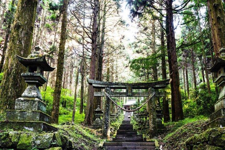 Excursión de un día a la garganta y el santuario Takachiho de Miyazaki con salida desde Fukuoka