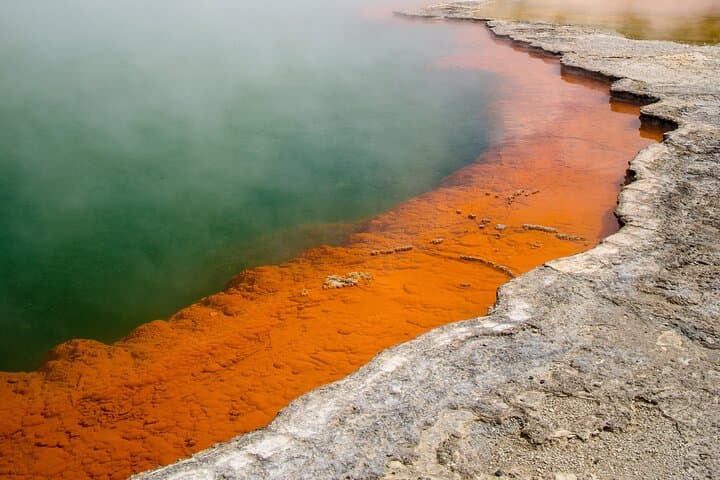 From Auckland to Rotorua Waiotapu and Activity Combinations