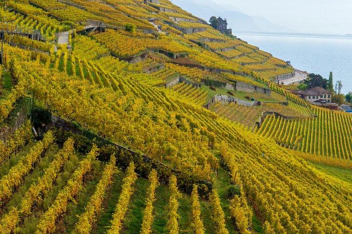 Lavaux Wine and Vineyard Experience con crociera in barca
