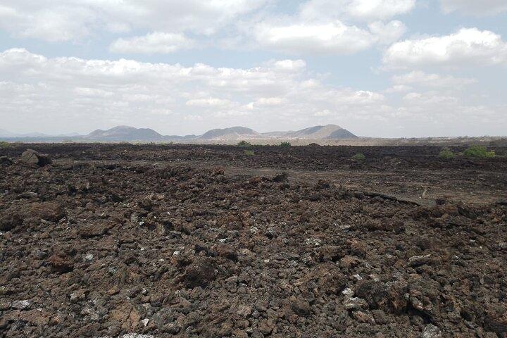 7 dagars kenyanska safari