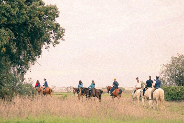 Horseback Riding in Gaio Rosario Beach Portugal