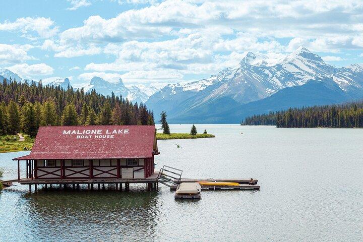 Tour naar Jasper National Park: Maligne Valley, Medicine Lake en Spirit Island