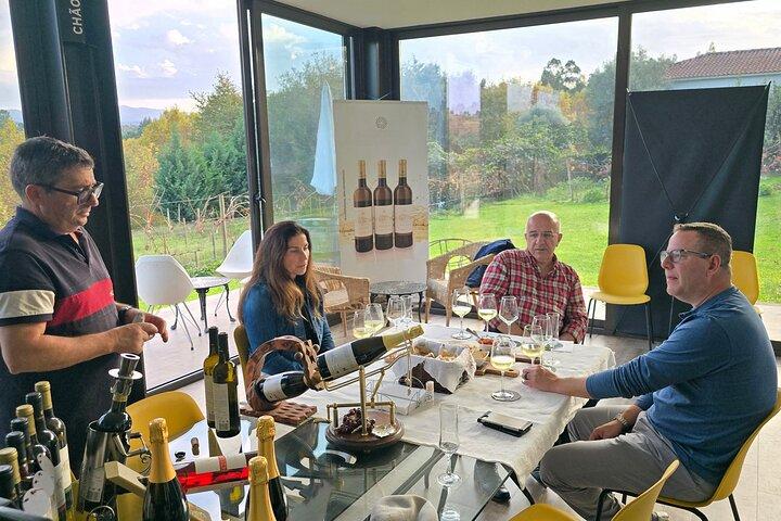 Experiência Privada de Vinhos em Rota do Vinho Verde com almoço