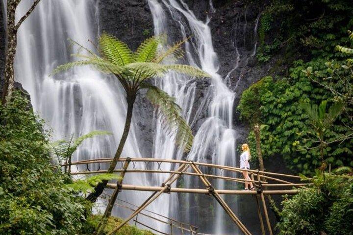 North Bali : Sekumpul and Banyumala Waterfall & Rice Terraces