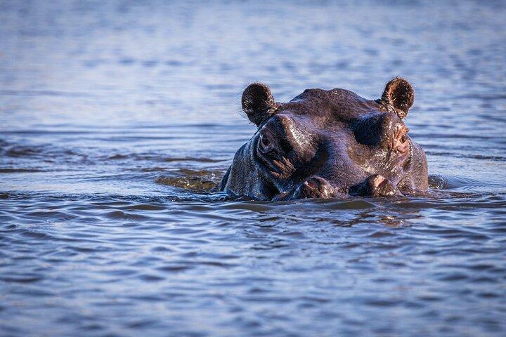 Okavango Delta Mokoro dagtour