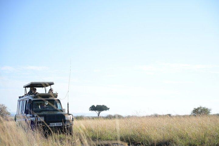 7-dagars Hemmingways Safari