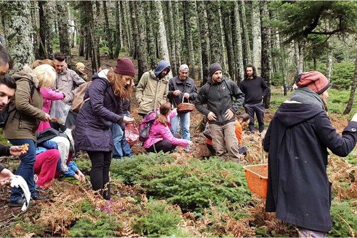 Visite d'une journée de chasse à la truffe d'Athènes avec arrêt repas côté mer