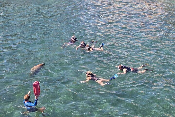 San Juan Snorkel with Turtles and Manatee's; Free Video and Rum!