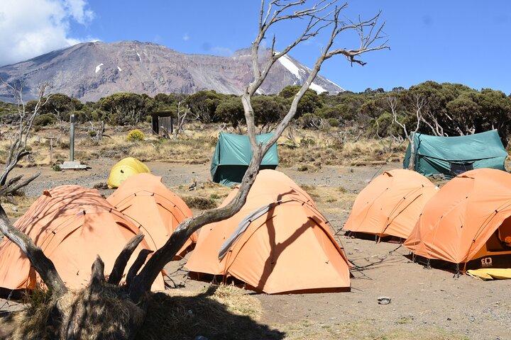6 dagars privat Machame Route Tour