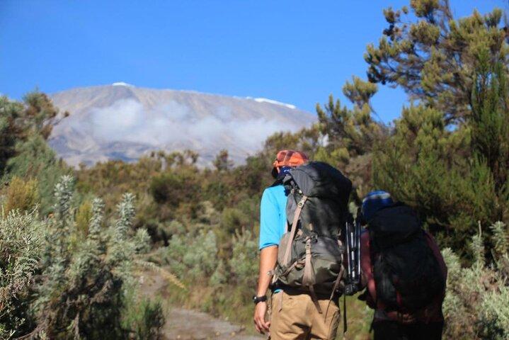 7 dage Machame Route Privat tur