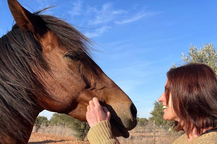 Visita a la granja de rescate en el campo de Marrakech