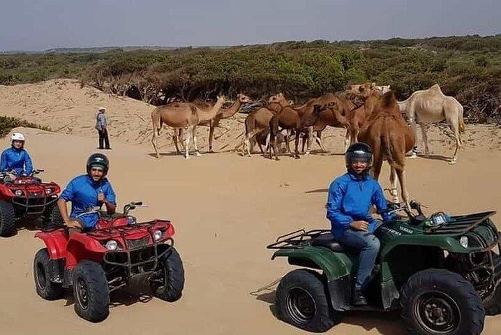 Essaouira P4: Fyrhjulingsutflykter (gratis transfer)