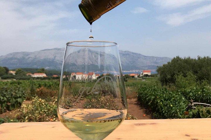 Tour del vino Korčula - tour privato