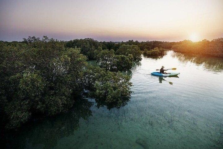 Al Thakira Mangrove Avventura in kayak con trasferimento