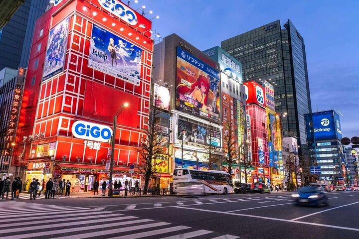 Tokyo Private Customized Day Tour