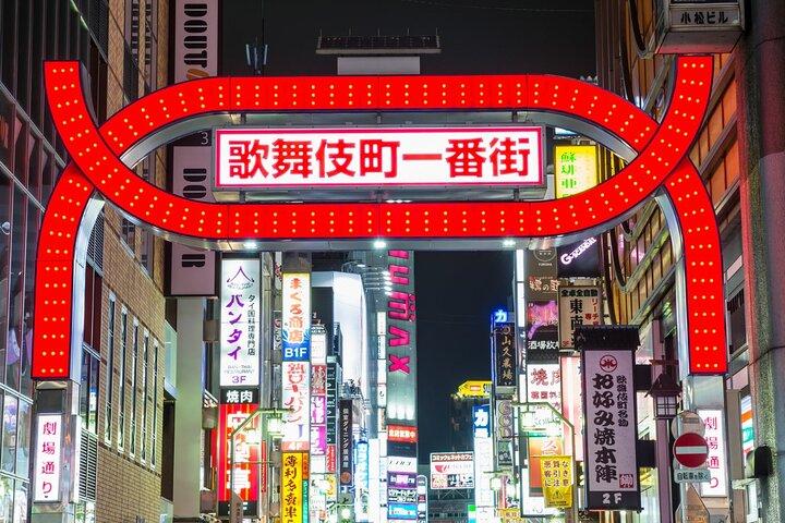 Tokyo Private Customized Day Tour