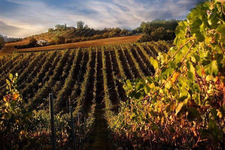 Florença, Siena e San Gimignano com degustação de vinhos Chianti