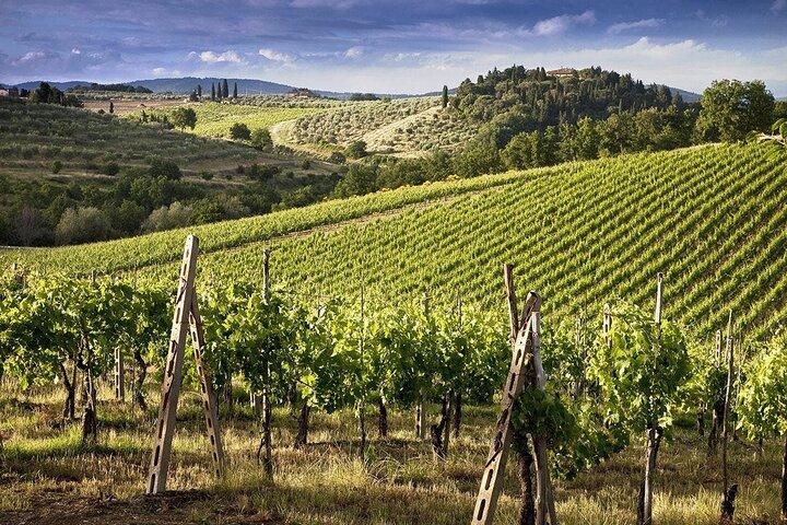 Florença, Siena e San Gimignano com degustação de vinhos Chianti