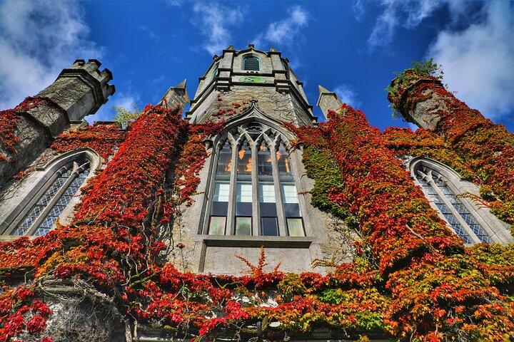 Galway Keltische mythologietour