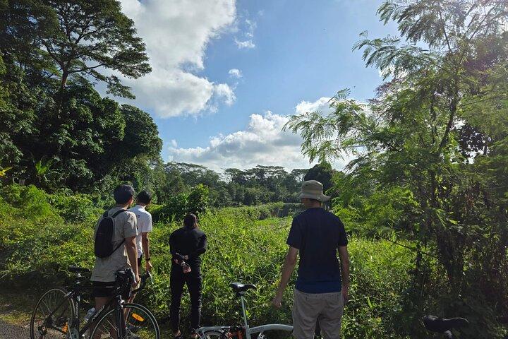 Singapore privéfietstour door Brompton