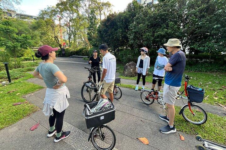 Singapore privéfietstour door Brompton
