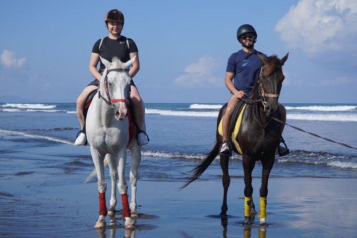 Experiencia de montar a caballo en Saba Beach