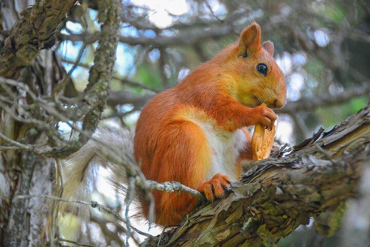 アラ・アルチャ国立公園: 風光明媚な少人数ツアー