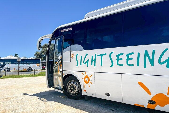 Heldags Great Ocean Road og 12 Apostles Tour