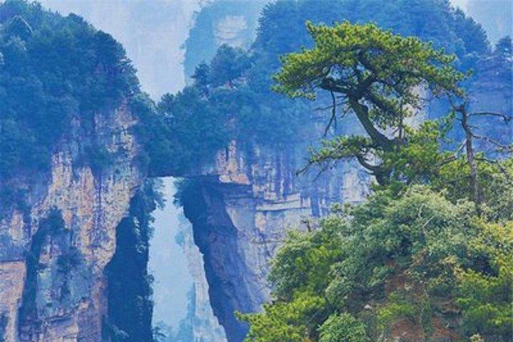 張家界からアバター山とガラス橋プライベートツアー