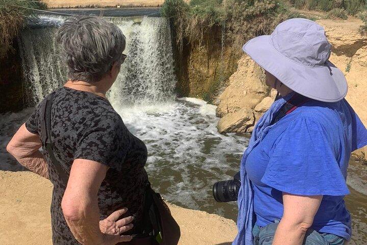 Fayoum heldagstur från Kairo