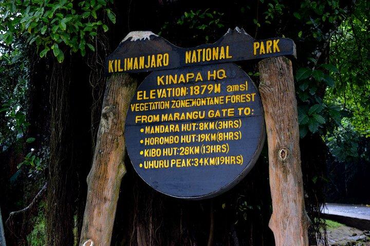 Caminata de un día al Kilimanjaro : Ruta Marangu o Ruta Machame