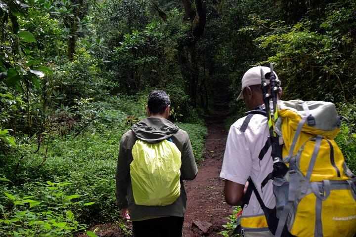 Caminata de un día al Kilimanjaro : Ruta Marangu o Ruta Machame