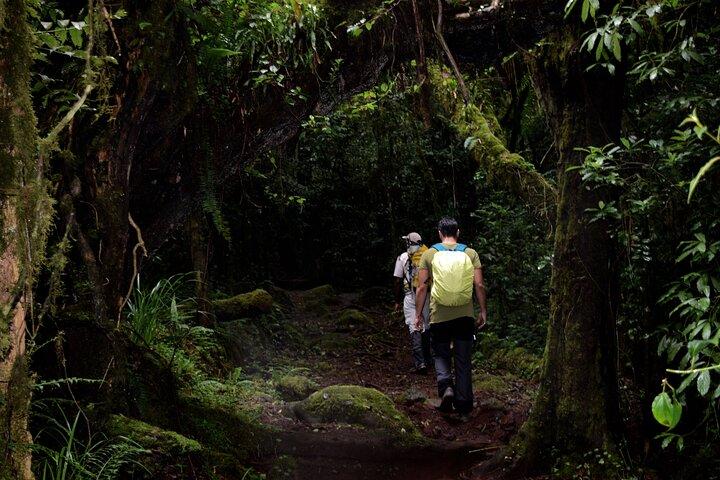 Caminata de un día al Kilimanjaro : Ruta Marangu o Ruta Machame
