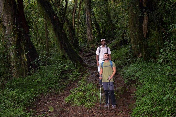 Caminata de un día al Kilimanjaro : Ruta Marangu o Ruta Machame