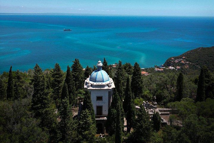 Visite d'une journée : Arrábida & Setúbal dévoilés