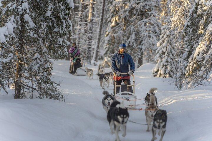 Snowy Trails 10km Husky Safari from Rovaniemi
