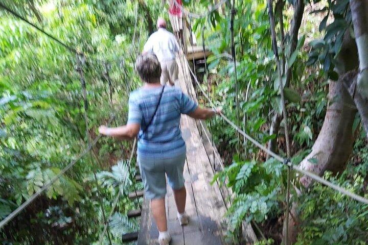 Roatán Privado : Perezosos, Monos, Chocolate, Ron & Island Tour