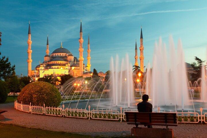 Istanbul Food and Culture Tour: Dinner at Local Family