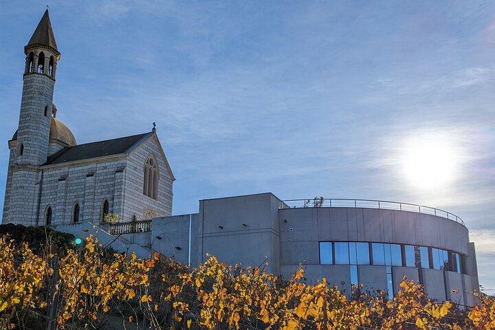 Tour dei vigneti con degustazione di vini a Nizza