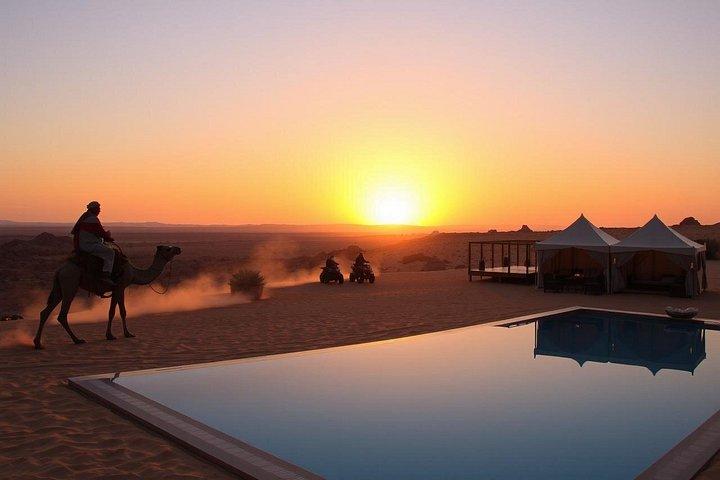 Marrakech: Agafay Desert Quad + Camel Rides + Dinner Show & Pool