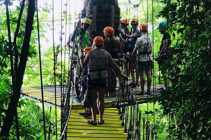 Gumbalimba Zip Line e Preservação Eco-Park