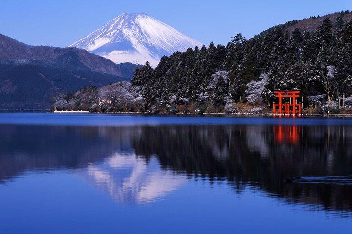 Excursão de um dia personalizada de Hakone