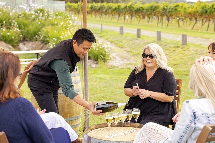 Puffing Billy Train&Healesville Sanctuary&Yarra Valley Wine Tour