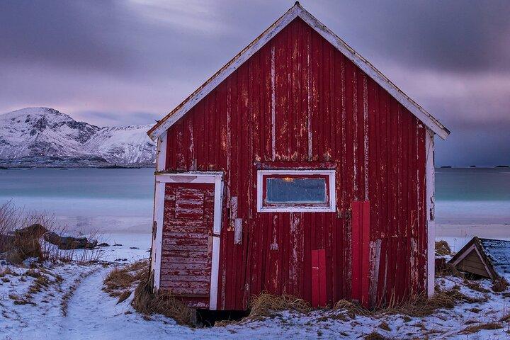 Tour fotografico di Reine, Hamnøy, Sakrisøy da Svolvær