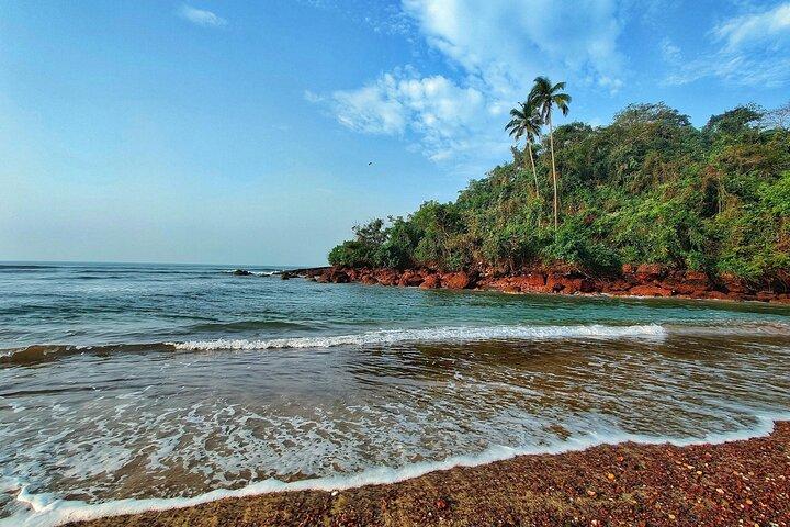 Tour privado de 8 días en el propio país de Dios en Kerala
