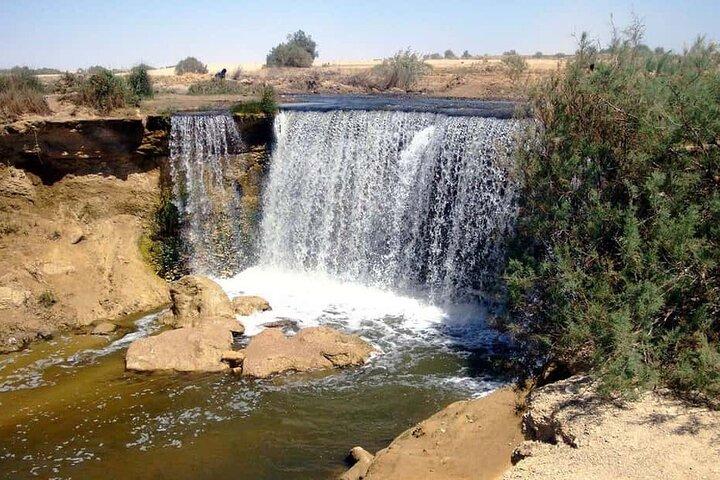 Fayoum heldagstur från Kairo