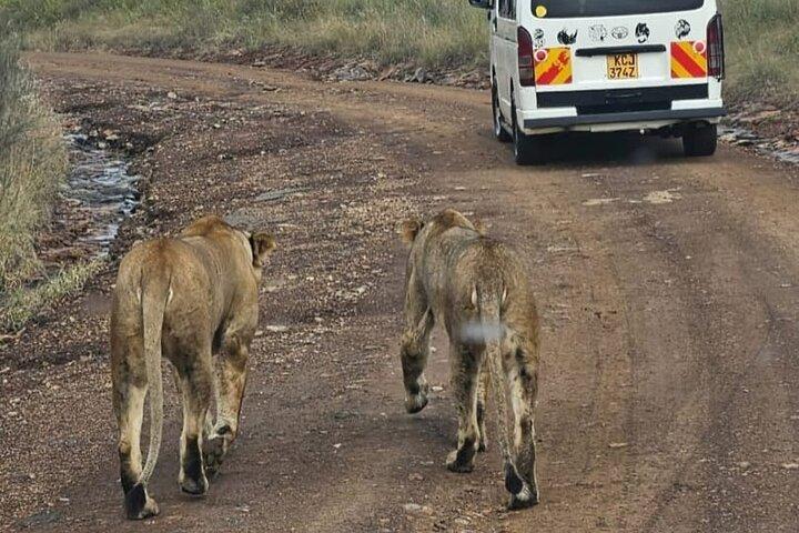 Activiteiten in de omgeving van Nairobi National Park Giraffe Center