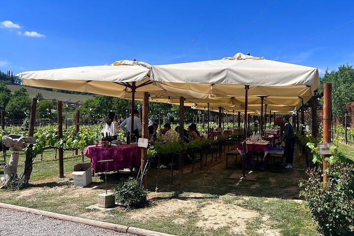 Florence: Sienne et San Gimignano, Visite privée d'une journée