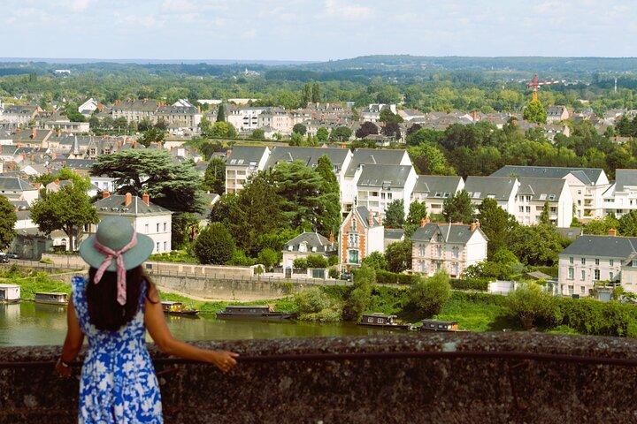 Loire Valley Castles VIP Chauffeur Driven Tour de Paris 12h
