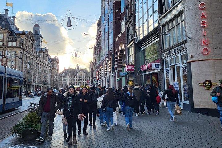 Private Amsterdam City Highlights Tour – Luxus Mercedes & Stops